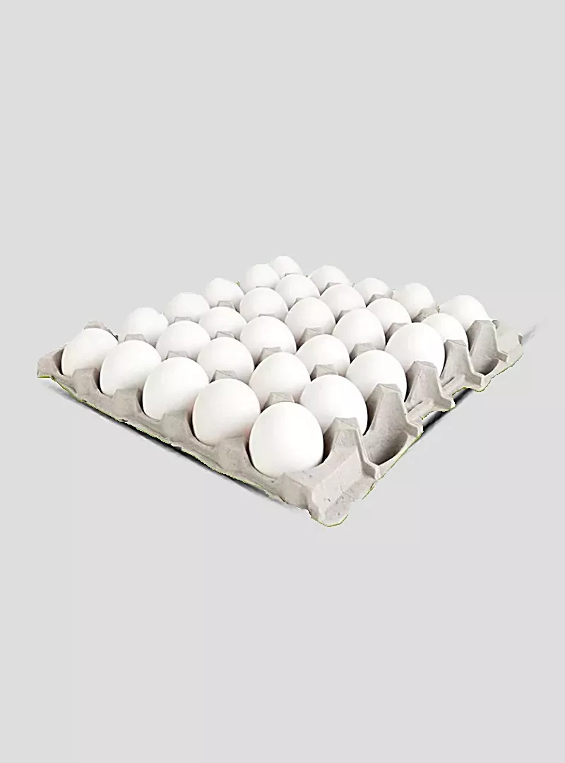 Œufs de poule